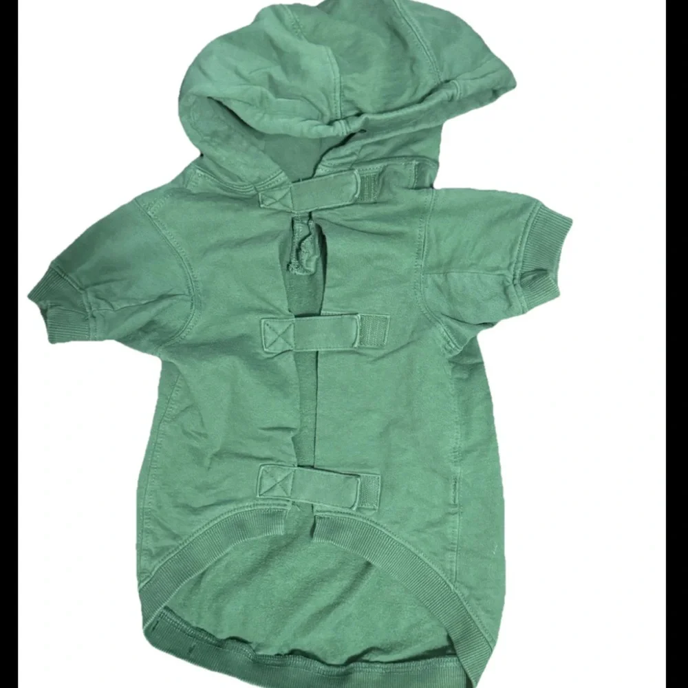 Dog Hoodie with Graphic “Accepts Bribes”Green Medium